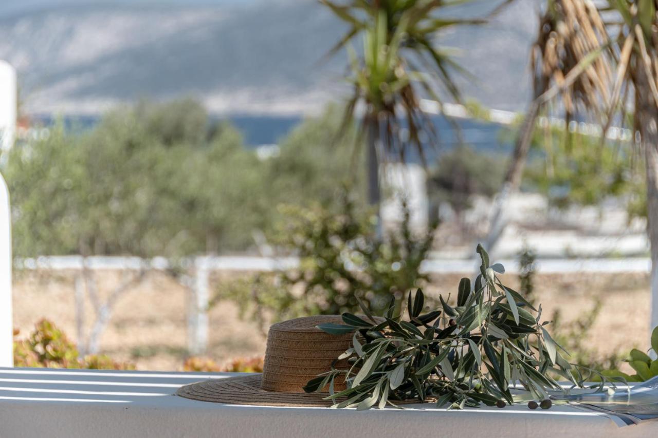 קופוניסיה Michalios Luxury Apartments מראה חיצוני תמונה