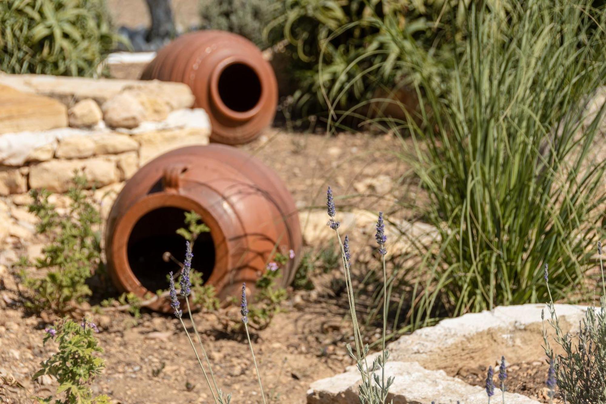 קופוניסיה Michalios Luxury Apartments מראה חיצוני תמונה